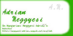 adrian meggyesi business card